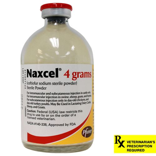 Naxcel Rx 4 grams
