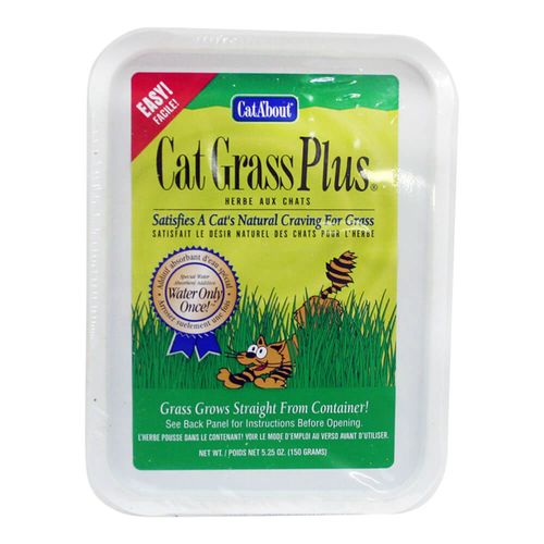 Cat A'bout Cat Grass Plus 5.25 oz