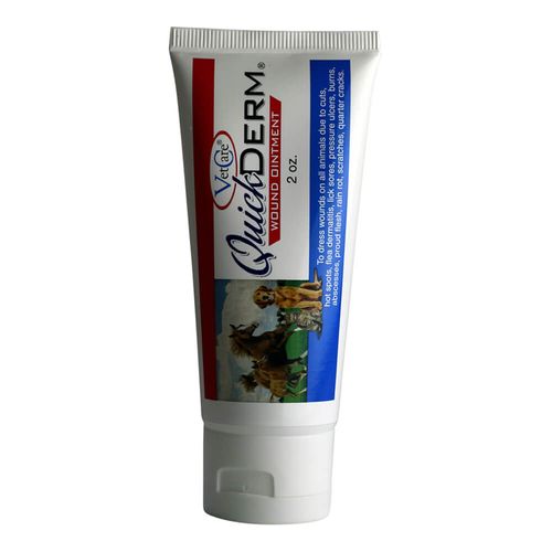 QuickDerm Ointment 2 oz