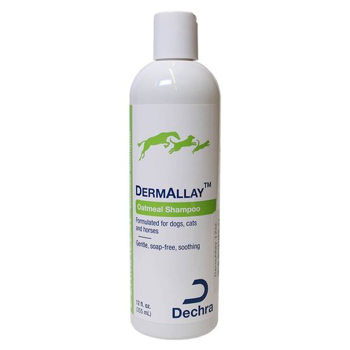 DermAllay Oatmeal Shampoo for Dogs Cats and Horses 12 fl oz