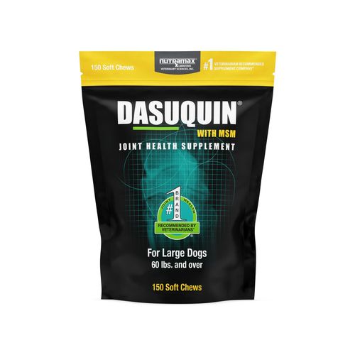 Dasuquin w/ MSM Soft Chews for Large Dogs
