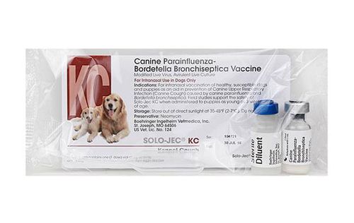 Solo-Jec KC (Kennel Cough) Intranasal Vaccine