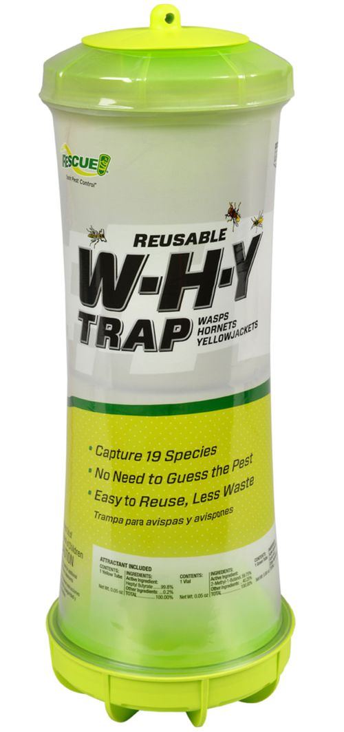 W-H-Y Traps (& Refills) for Wasps, Hornets, and Yellowjackets